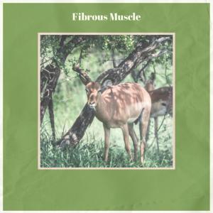 收听Ruey Arki的Fibrous Muscle歌词歌曲