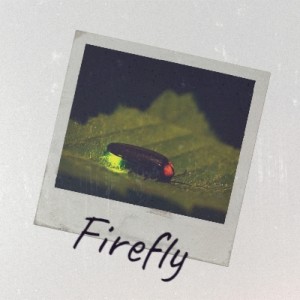 收听Tony Bennett的Firefly歌词歌曲