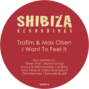 收聽Trafim的I Want to Feel It (Tony Verdu & Carlos Granados R Remix)歌詞歌曲