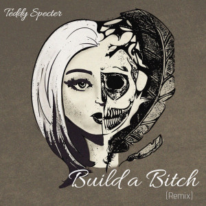 收听Teddy Specter的Build a Bitch (Remix|Explicit)歌词歌曲