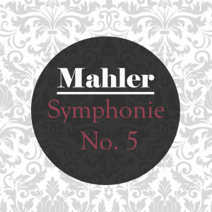 收听Ljubljana Radio Symphony Orchestra的I. Trauermarsch歌词歌曲