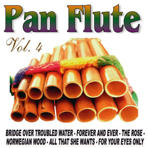 ดาวน์โหลดและฟังเพลง Forever And Ever พร้อมเนื้อเพลงจาก The Instrumental Pan Pipes Band