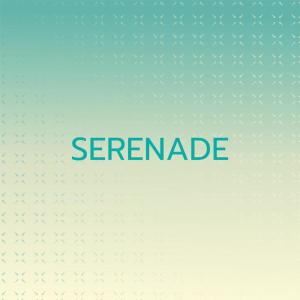 Dengarkan lagu Domingo Santo Domingo nyanyian Hula Hawaiian Quartett dengan lirik