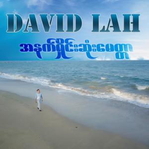 收听David Lah的Ah Yar Arr Lone Doz Yae Ah Shin歌词歌曲