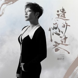 Album 遗憾的过客 from 魏佳艺