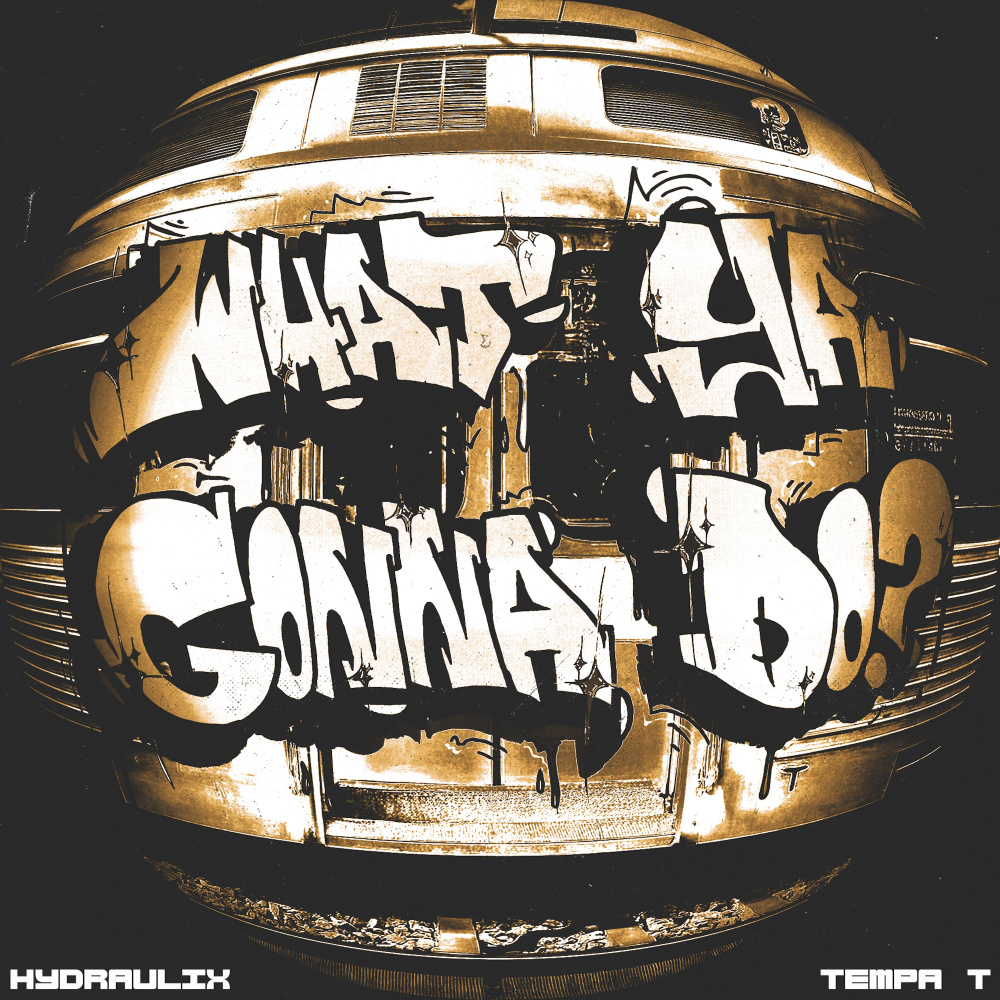 What Ya Gonna Do? (Explicit)