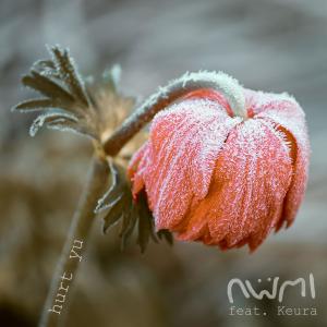 收听nwmi的hurt yu歌词歌曲