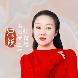 Album 劝君莫生气(DJ女版) from 肖东