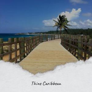 Album Thine Caribbean from Various