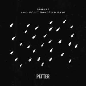 ดาวน์โหลดและฟังเพลง Regnet พร้อมเนื้อเพลงจาก Petter