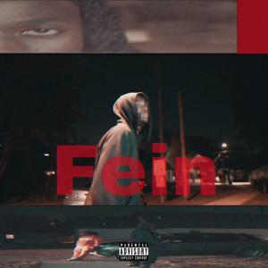 Album Fein (Explicit) from 