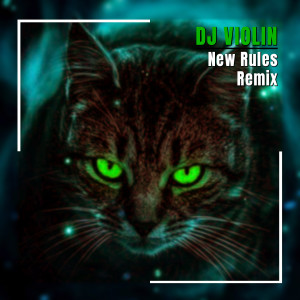 收听DJ Violin的New Rules Remix歌词歌曲