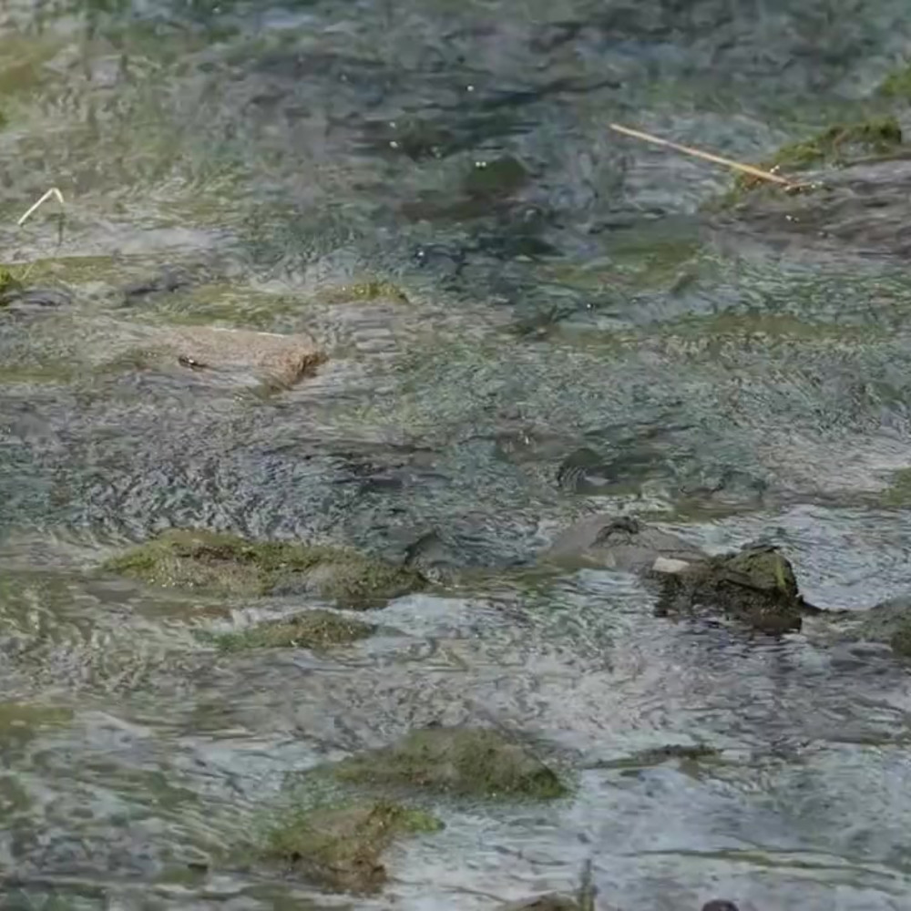 Love by the River