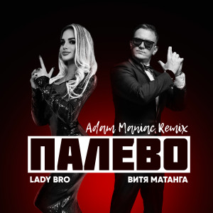 ดาวน์โหลดและฟังเพลง Палево (Adam Maniac Remix) พร้อมเนื้อเพลงจาก Витя Матанга