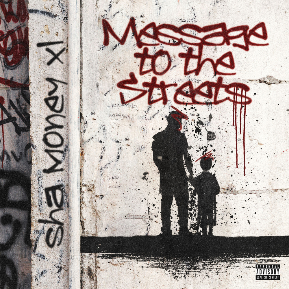 You Could Never Stop My Shine (Explicit)
