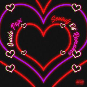 收聽Guido Papi的DND (feat. Shaahid, CeliMusic & AlAHKIA) (Explicit)歌詞歌曲