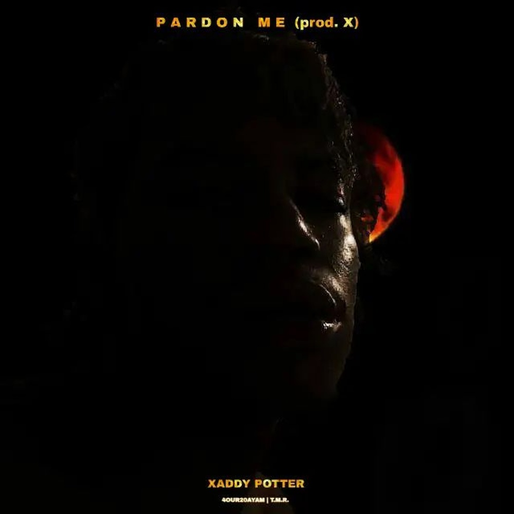 Pardon Me (Explicit)