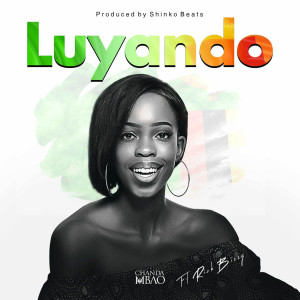 อัลบัม Luyando (feat. Rich Bizzy) ศิลปิน Chanda Mbao