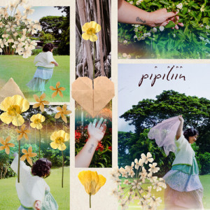Album Pipiliin from Coeli