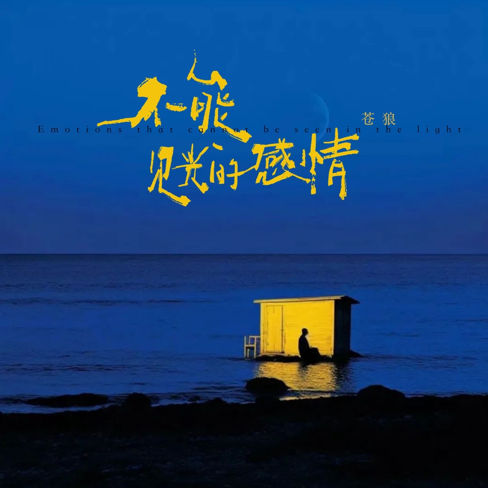 不能见光的感情 (舞动版)