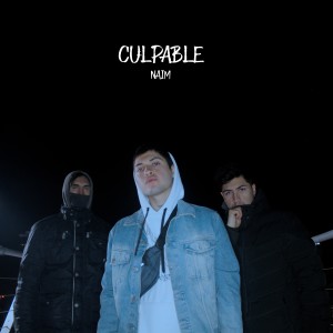 Listen to Culpable song with lyrics from NAIM