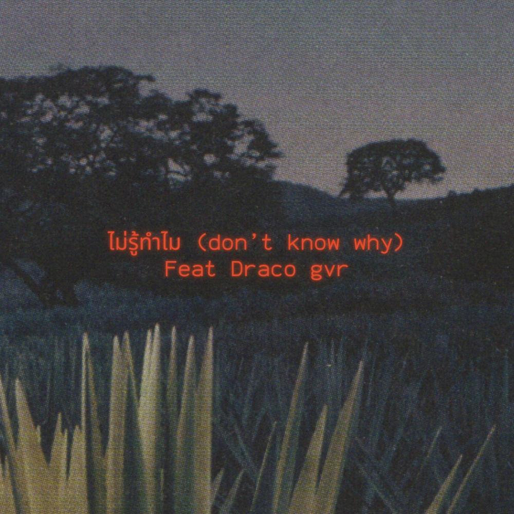 ไม่รู้ทำไม (don't know why) (feat. Draco gvr)