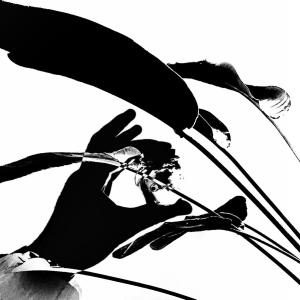 收聽lil booj的paperboy (feat. Swiiif) (Explicit)歌詞歌曲