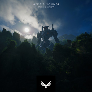 ดาวน์โหลดและฟังเพลง Wish I Knew พร้อมเนื้อเพลงจาก Medz