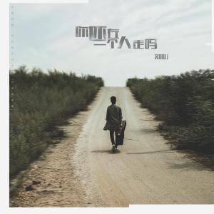 收聽劉心的你還在一個人走嗎 (伴奏版) (伴奏)歌詞歌曲