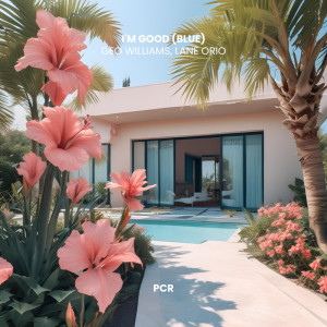 Listen to I'm Good (Blue) (Lane Orio Remix) song with lyrics from Geo Williams