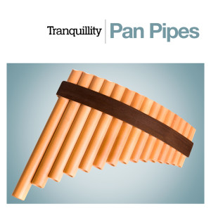 Dengarkan lagu Für Elise (Instrumental) nyanyian The Panned Pipers dengan lirik