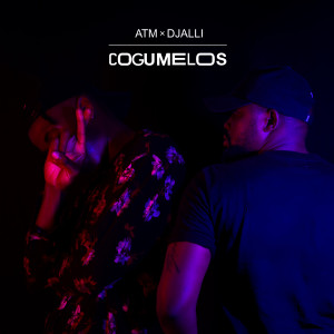 Album Cogumelos from ATM