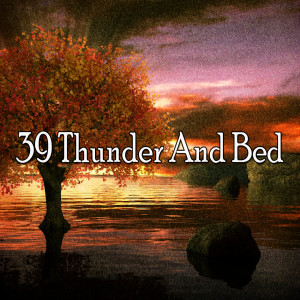 ดาวน์โหลดและฟังเพลง Absorbing the Storm พร้อมเนื้อเพลงจาก Rain Sounds Sleep