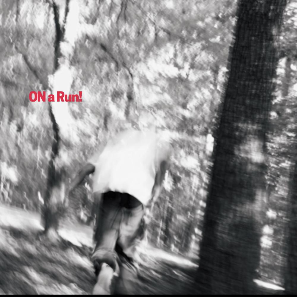 Out The Jungle ! (feat. Lil Quanie) (Explicit)