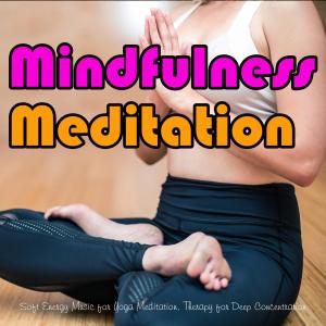 Album Mindfulness Meditation: Soft Energy Music for Yoga Meditation, Therapy for Deep Concentration from 