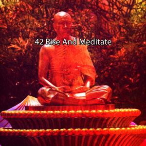 อัลบัม 42 Rise And Meditate ศิลปิน Yoga Soul