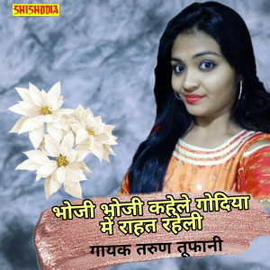 Listen to Bhoji Bhoji Kahile Godiya Me Rahat Rahile song with lyrics from Tarun Tufani
