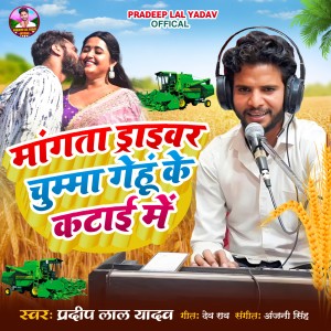 Listen to Mangta Driver Chumma Genhu Ke Katai Me song with lyrics from Pradeep Lal Yadav