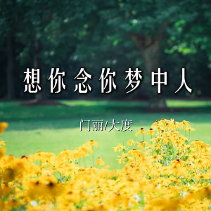 收听门丽的想你念你梦中人歌词歌曲