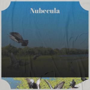 Album Nubecula from Various