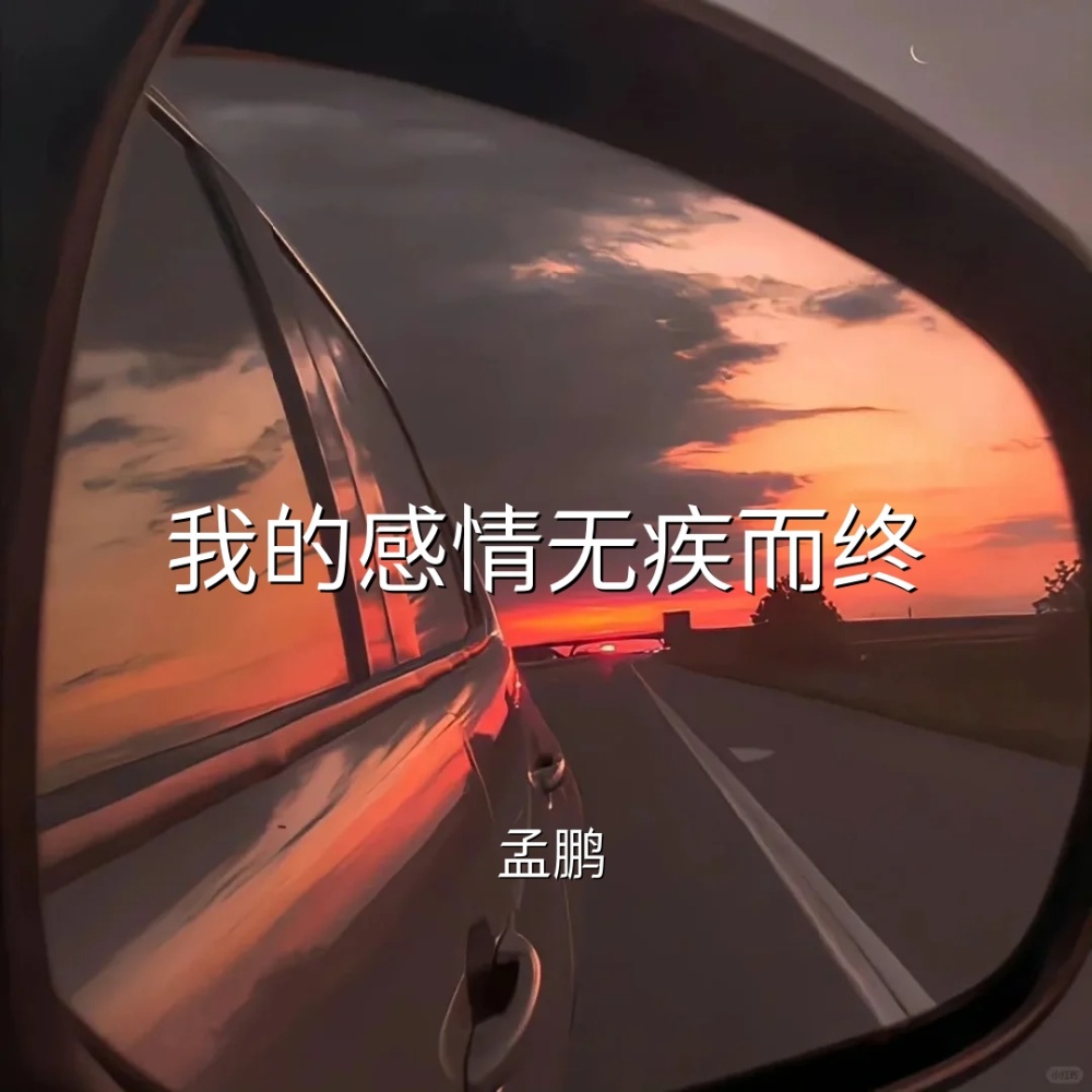 我的感情无疾而终 (伴奏)