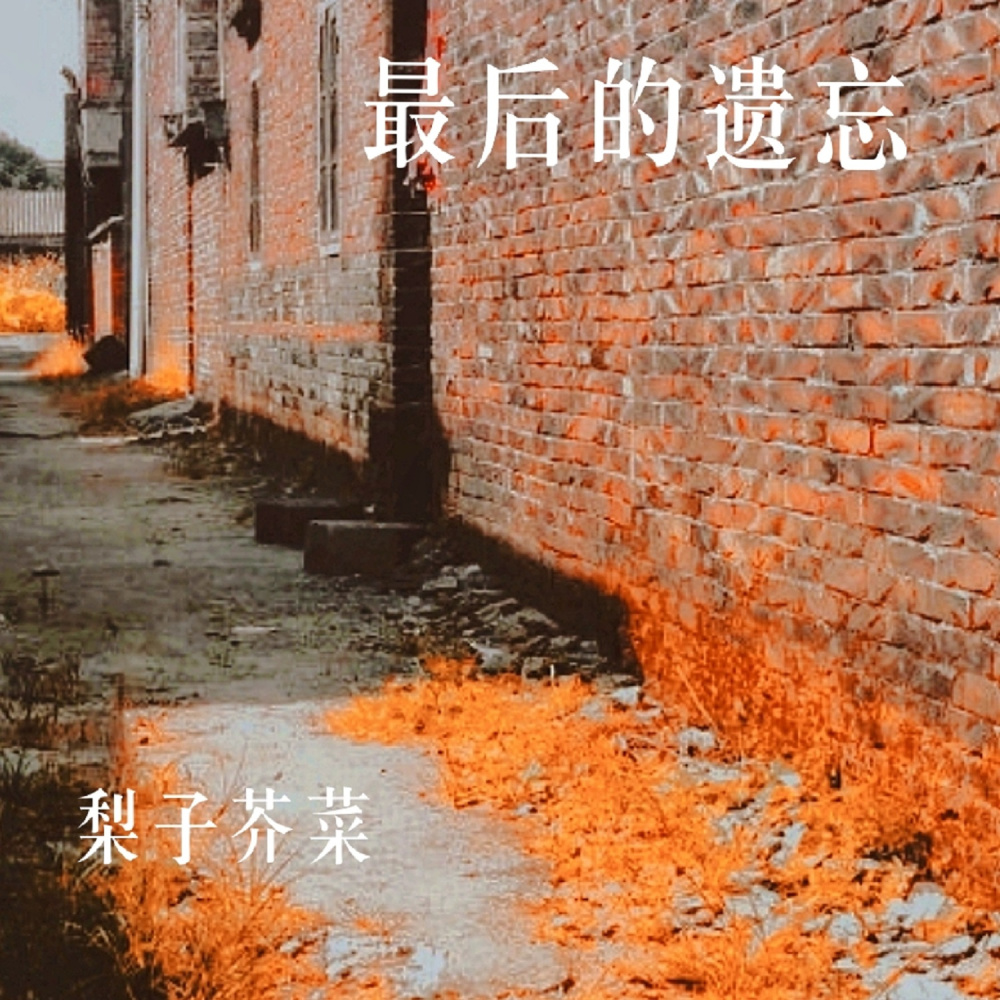 最后的遗忘