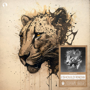 Listen to I Should Know (Extended Mix) song with lyrics from Kapuzen