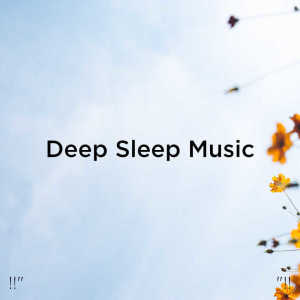 Dengarkan lagu Reiki Healing Background nyanyian Deep Sleep Music Collective dengan lirik
