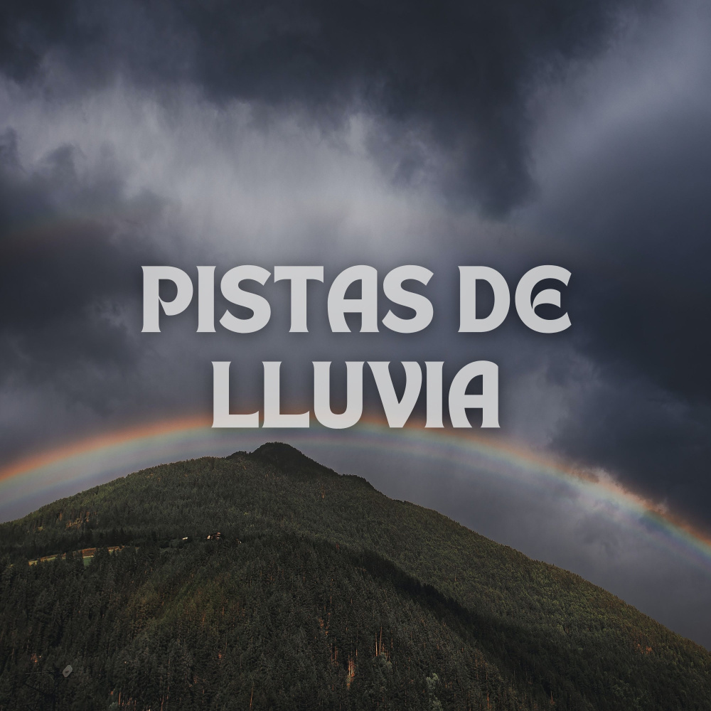 Calma De Calidad