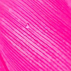 收听current device的Highrise歌词歌曲