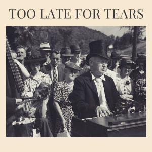 Don Costa的專輯Too Late for Tears