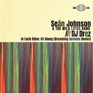 Sean Johnson & The Wild Lotus Band的專輯In Each Other All Along (Dreaming Govinda Remix)