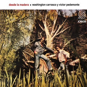 ดาวน์โหลดและฟังเพลง Desde la Madera พร้อมเนื้อเพลงจาก Washington Carrasco