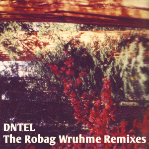 Listen to Bright Night (Robags Kloff Mottüré Mix) song with lyrics from Dntel
